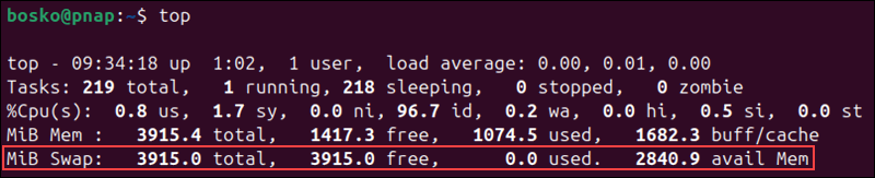 Swap memory usage information.