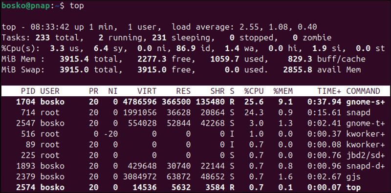 Example of the top command output.