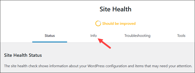 Open website info in WordPress.