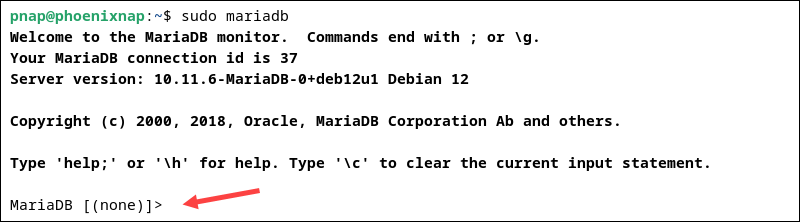 Access the MariaDB shell in Debian.