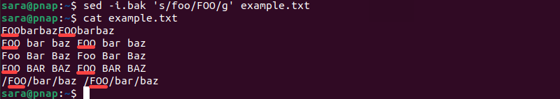 cat example.txt terminal output create backup