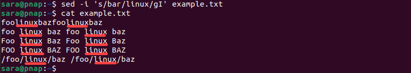 cat example.txt terminal output replacing every instance