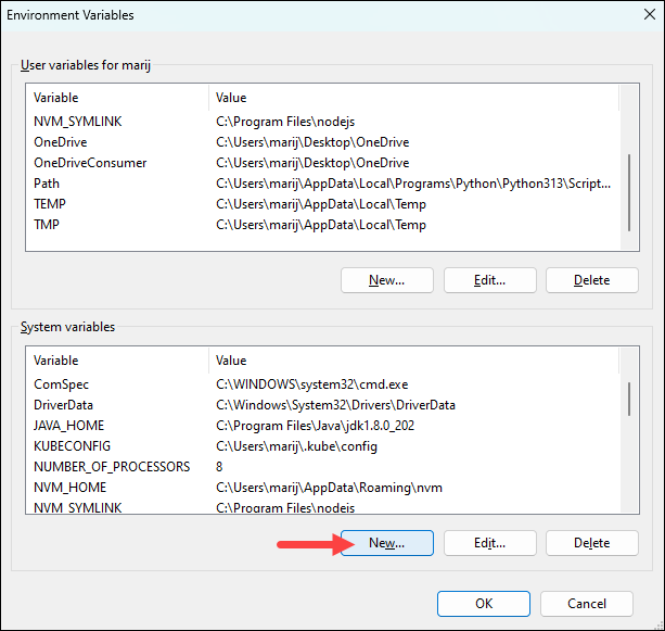 Add a new system environment variable in Windows.