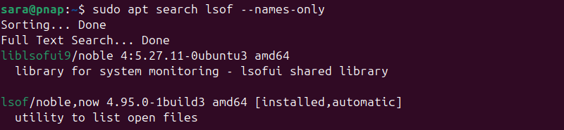 sudo apt search lsof --names-only terminal output