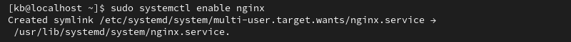 sudo systemctl enable nginx terminal output