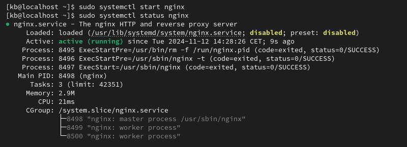 sudo systemctl start and status nginx active running terminal output