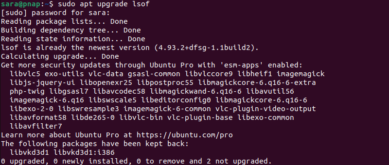 terminal output for sudo apt upgrade lsof