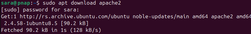 terminal output for sudo apt download apache2