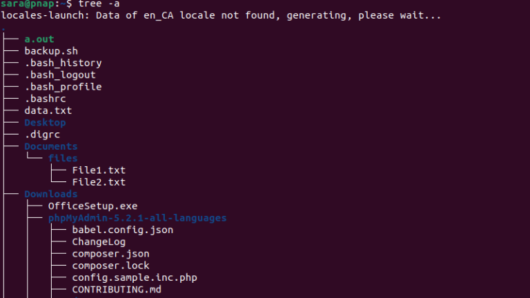 Show Hidden Files and Directories in Linux