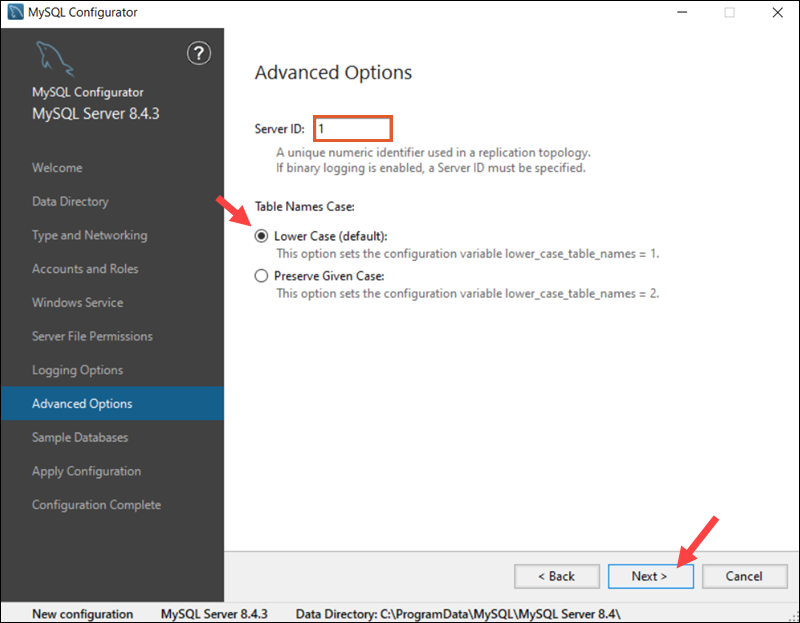 Advanced options during MySQL installation on Windows.