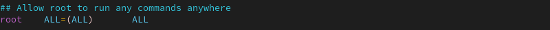 root ALL=(ALL) ALL line in Vim terminal output