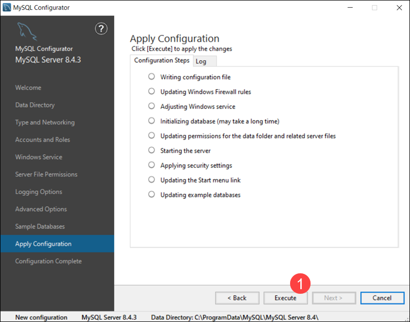 Review and execute MySQL configuration in Windows.