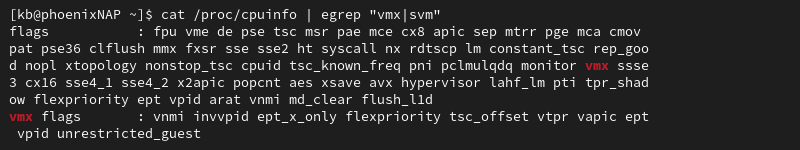 cat/proc/cpuinfo | egrep "vmx|svm" terminal output