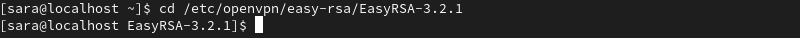 cd /etc/openvpn/easy-rsa/EasyRSA-3.2.1 terminal output