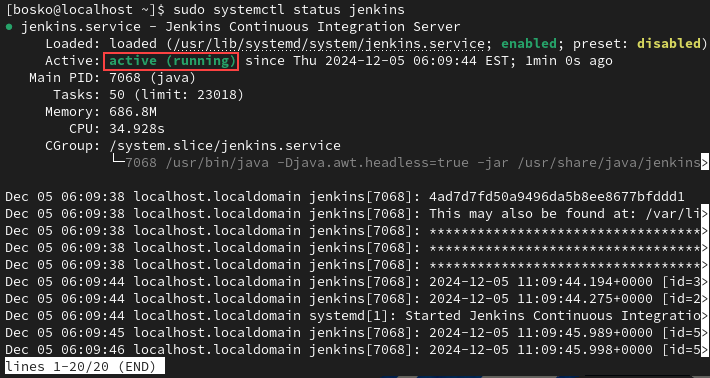 Checking the Jenkins service status after installation.