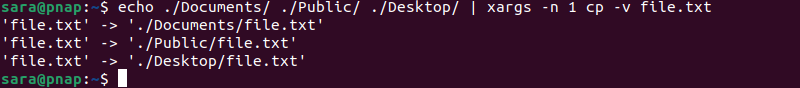 echo ./Documents/ ./Public/ ./Desktop/ | xargs -n 1 cp -v file.txt terminal output