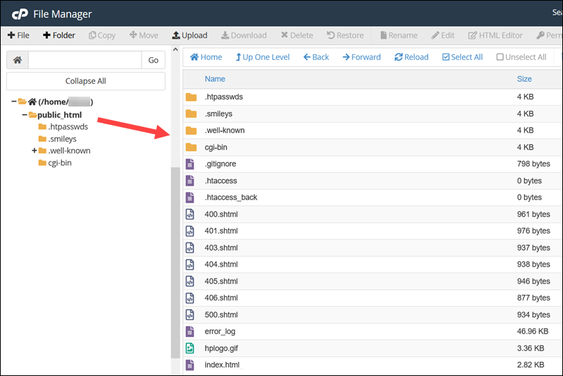 Website root directory in cPanel.