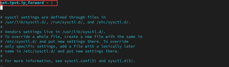 Editing the sysctl.conf file in Vim terminal output