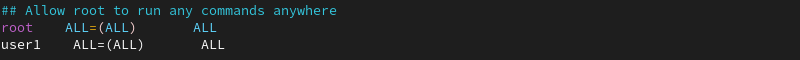 user1 ALL=(ALL) ALL line in Vim terminal output