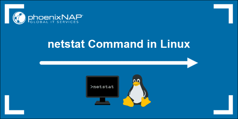 Netstat commands in Linux.