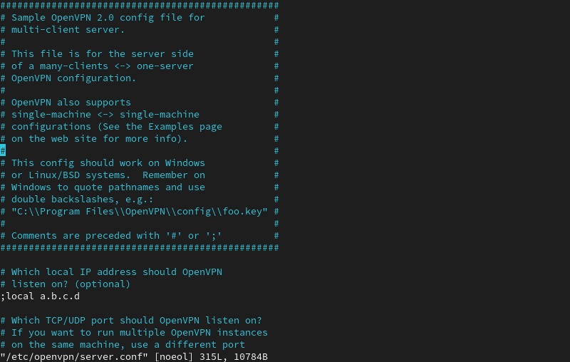 OpenVPN config file in Vim terminal output