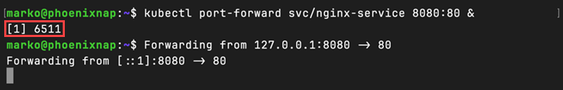 Starting a background port-forwarding process.