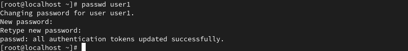 passwd user1 terminal output