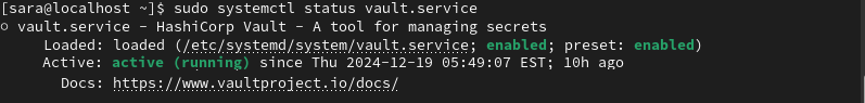 sudo systemctl status vault.service terminal output