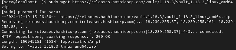 sudo wget https://releases.hashicorp.com/vault/1.18.3/vault_1.18.3_linux_amd64.zip terminal output