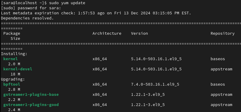 sudo yum update terminal output