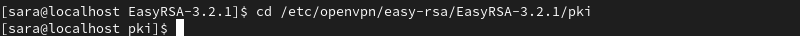 cd /etc/openvpn/easy-rsa/EasyRSA-3.2.1/pki terminal output