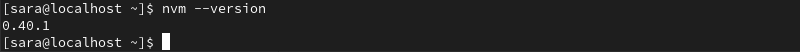 terminal output for nvm --version