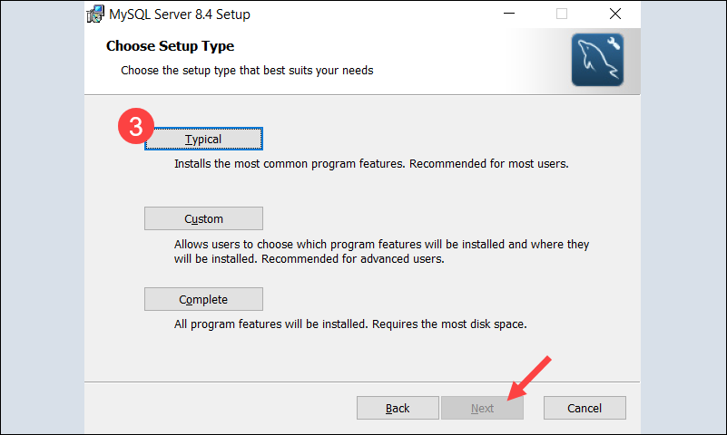 Select MySQL Server setup type on Windows.