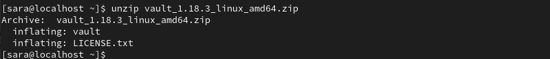 unzip vault_1.18.3_linux_amd64.zip terminal output