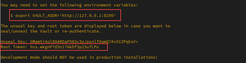 vault server -dev terminal output