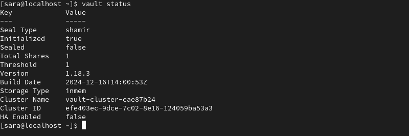 vault status terminal output