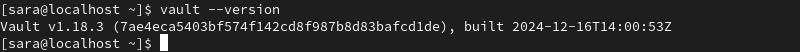 vault --version terminal output