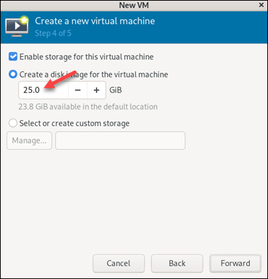 VM manager storage