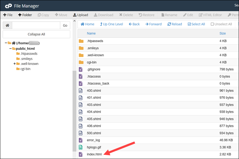 Index homepage file in cPanel to resolve the 403 error.