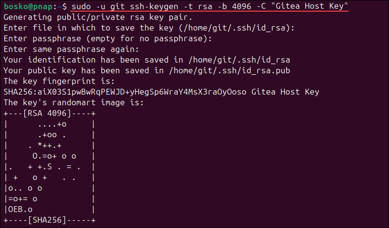 Generating an RSA 4096 SSH key for the git user.