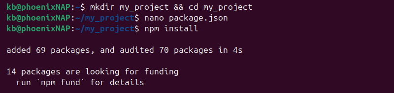 create project and install dependencies npm terminal output