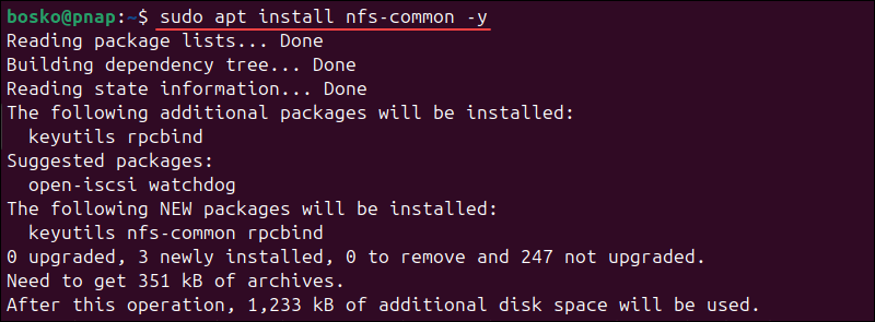 Install NFS with sudo apt install nfs-common -y