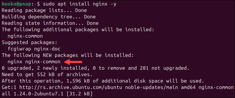 Installing Nginx as a reverse proxy.