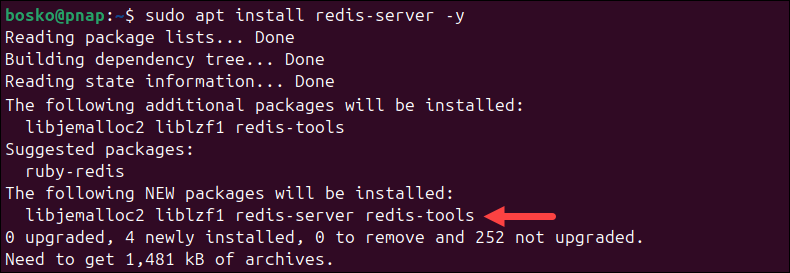 Installing Redis on Ubuntu 24.04.