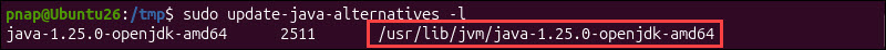 Checking the Java installation package for Tomcat.