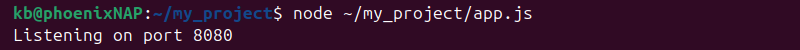 node.js app run listening port 8080 terminal output