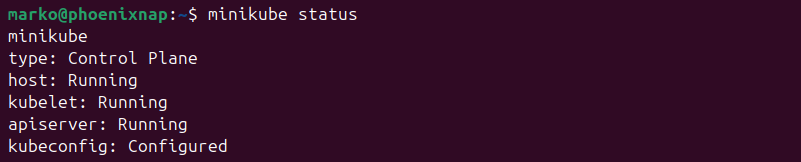 Checking Minikube status.