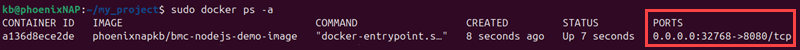 sudo docker ps -a terminal output nodejs
