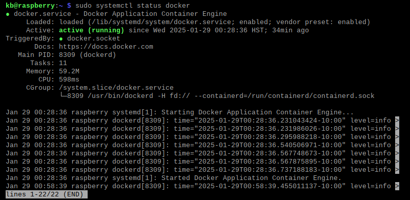 sudo systemctl status docker active terminal output