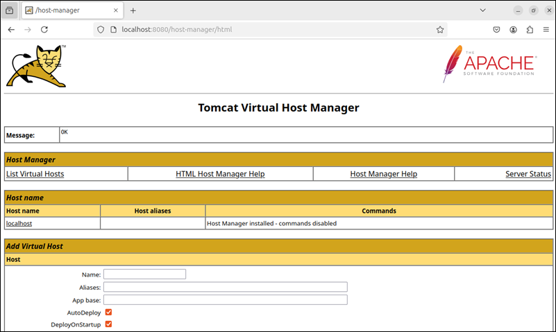 Tomcat Virtual Hosts Manager interface.